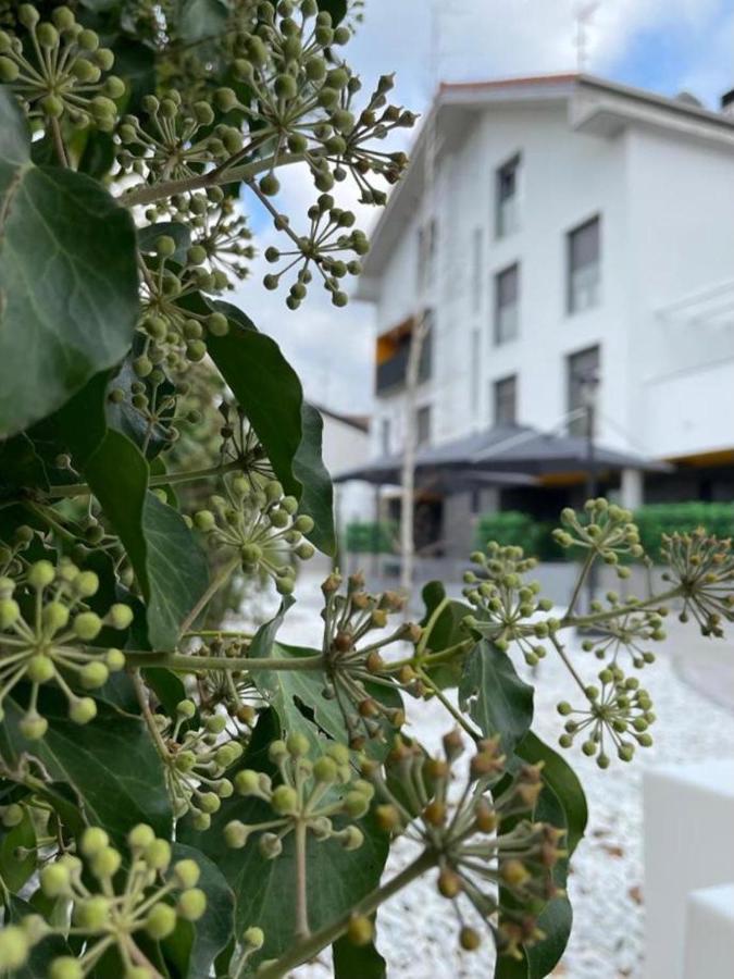 Zuia Suites Murguía Dış mekan fotoğraf